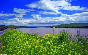 飲用凈水器的水究竟是否會(huì)導(dǎo)致?tīng)I(yíng)養(yǎng)缺乏？